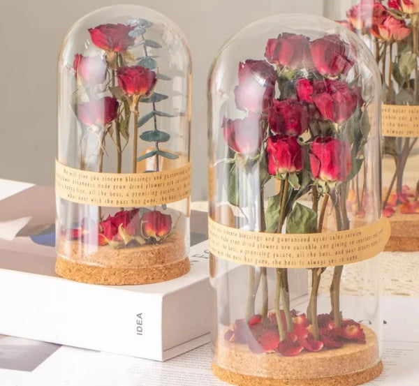 Glass Dome Dried Flowers - 9 Colors