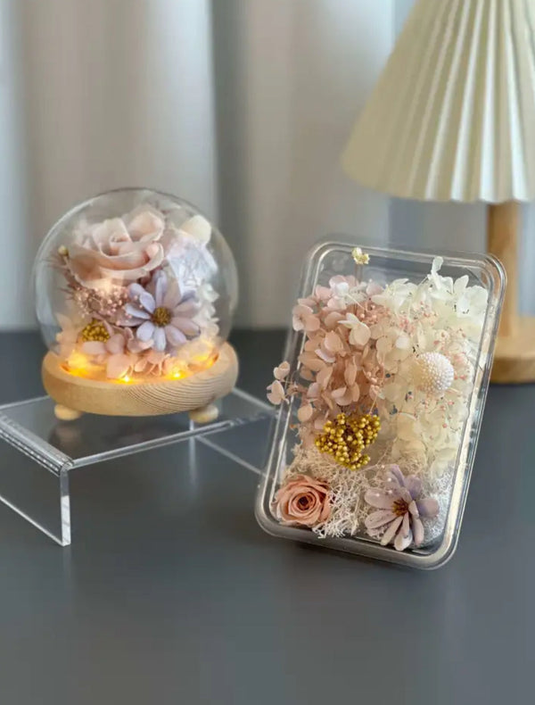 DIY Eternal Flower Dome Kit - LED & 4 Colors